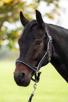 GRIME SÆT -CRYSTAL- BLØD FORET - MØRKEBRUN/SORT