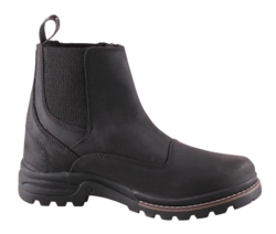 CAMPUS BRISTOL M. FOER