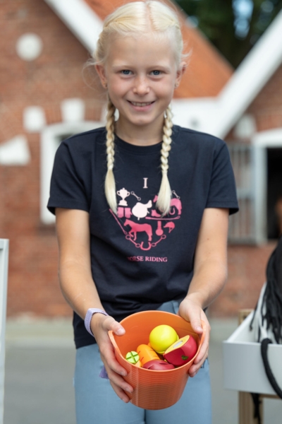 Foder lavet af træ -Hobby Horsing- 3 stk.