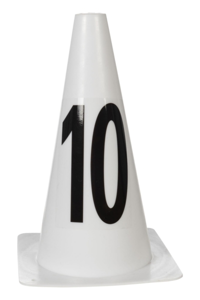 Pylons Jumping -Hobby Horsing-