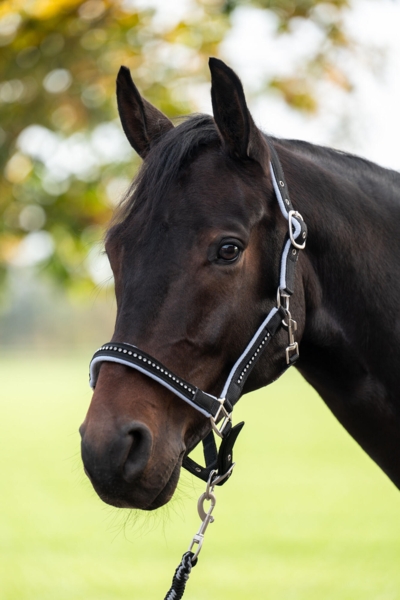 Grime set med karabinhage -CRYSTAL-, blød foret - SORT/GRÅ