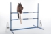 Pylons Jumping -Hobby Horsing-