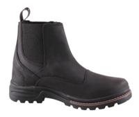 CAMPUS BRISTOL M. FOER